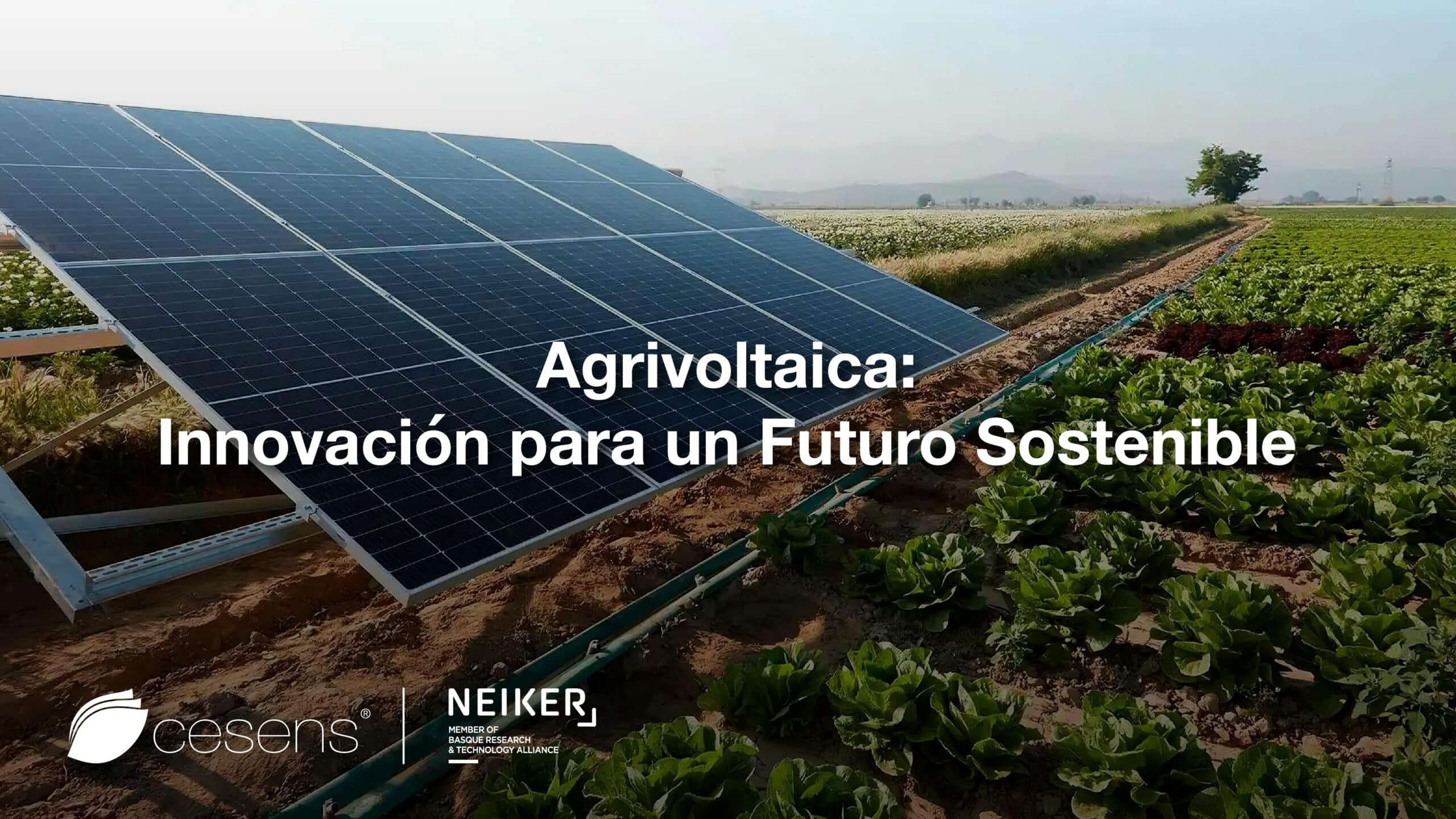 Agrivoltaica: Innovación para un Futuro Sostenible